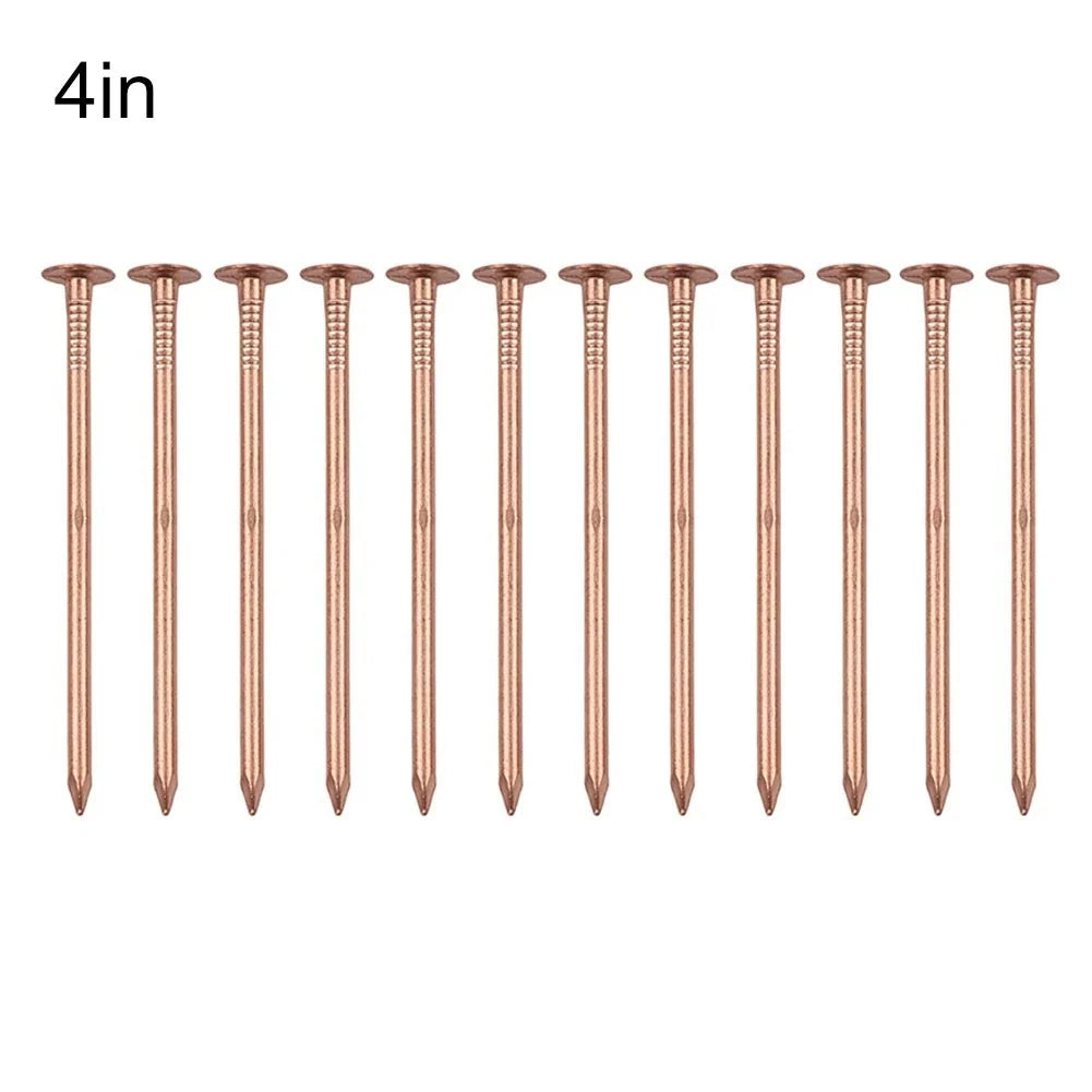 4 Inch Copper Nails for Tree Stumps and Root Removal (Garden Hardware)