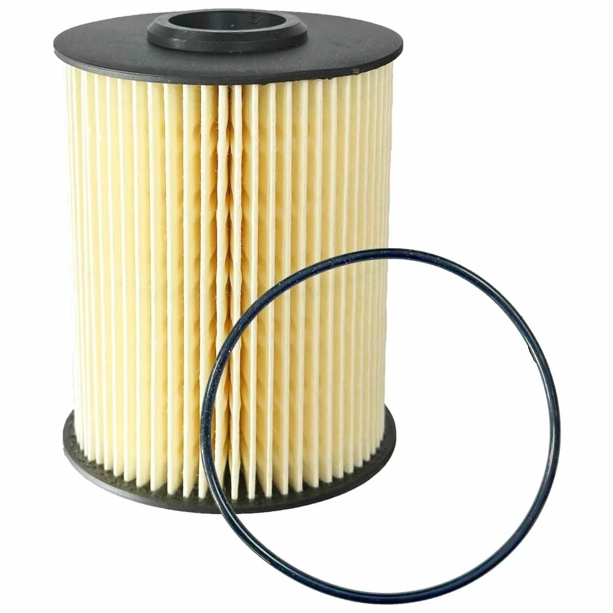 Fuel Filter for Dodge RAM 2500 3500 5.9L Cummins Turbo Diesel (F55360, 5015581AA)