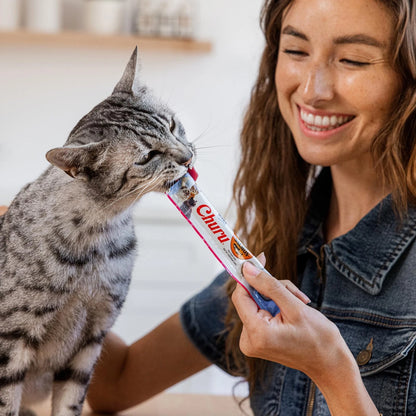 24X Lickable Salmon Churu Cat Treats for Cats (1 Count Each)