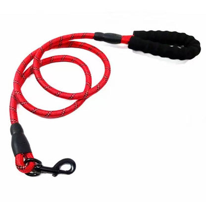 10FT Heavy Duty Reflective Nylon Dog Leash for Large Pets