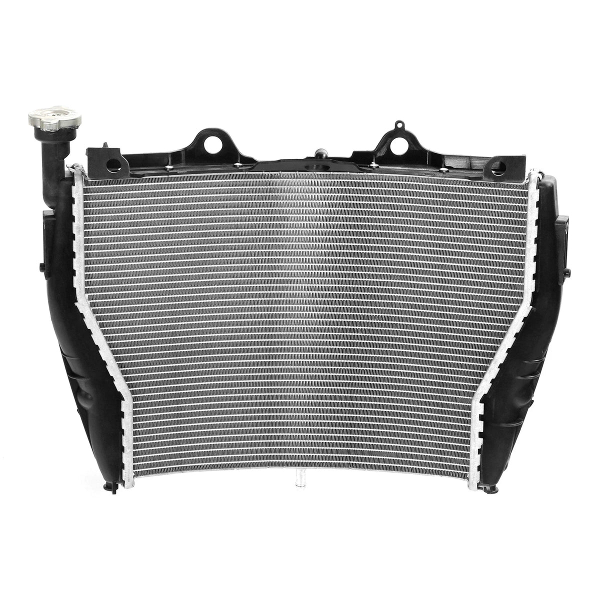 Radiator Cooler for BMW S1000R S1000XR (2015–2020)