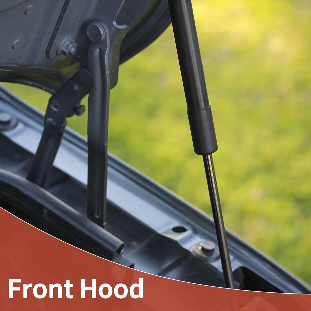 2 Pcs Front Hood Lift Supports Gas Strut for Ford Taurus (2010–2019)