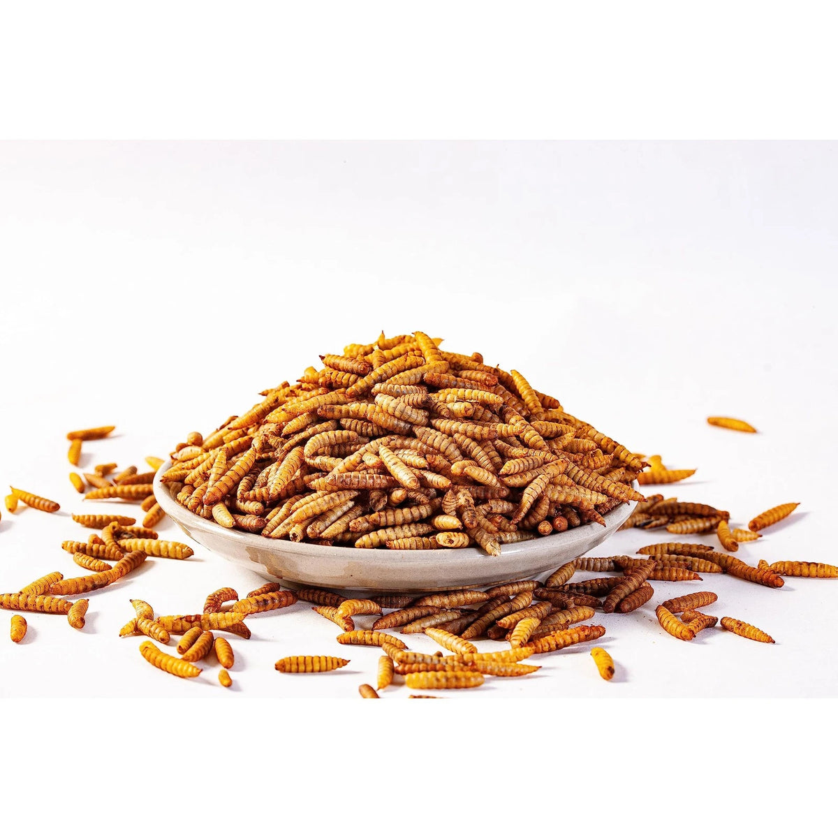10lb Dried Black Soldier Fly Larvae for Pets (Pack of 1)