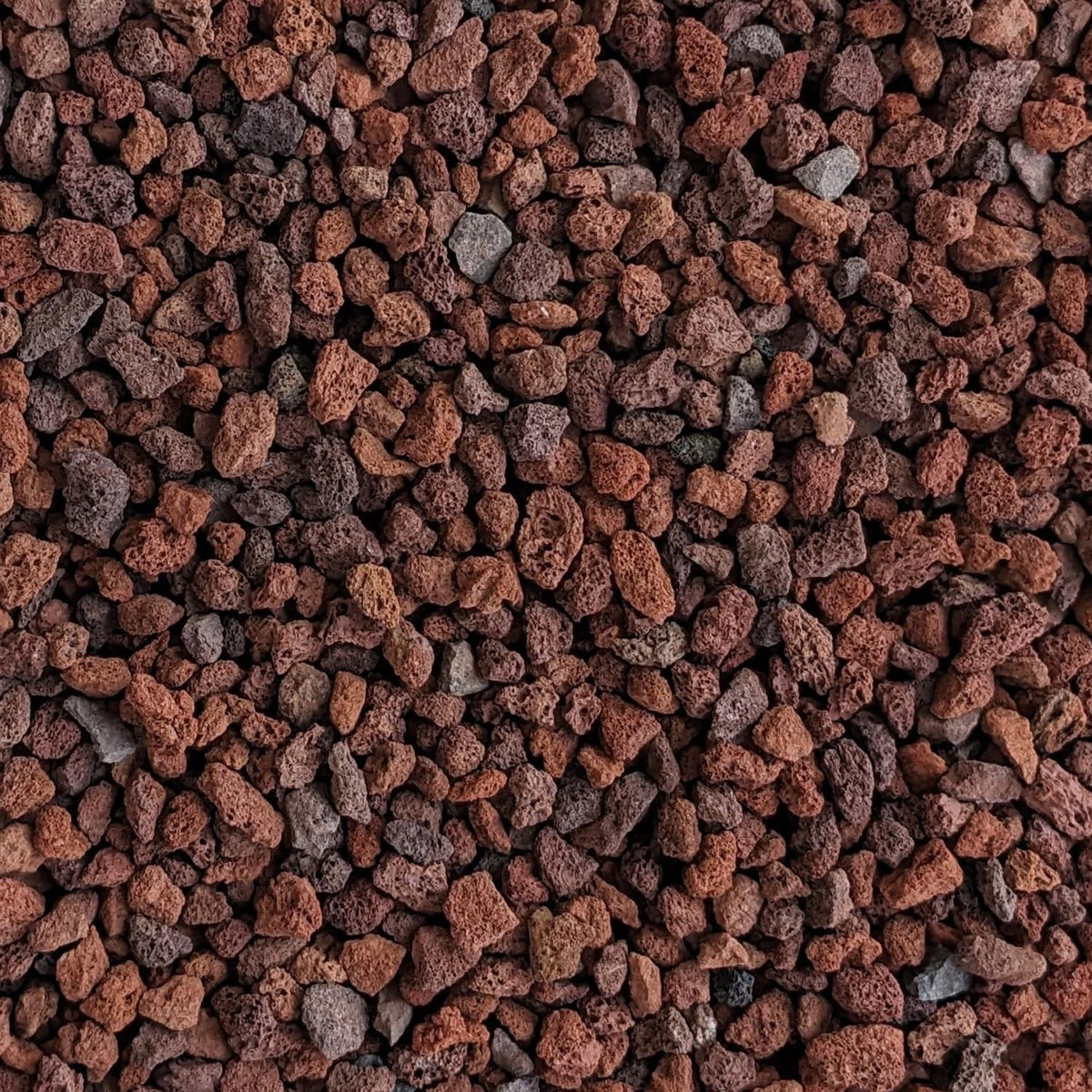 Red Lava Rocks for Plants Natural Horticultural Volcanic Rock 5-lb Bag