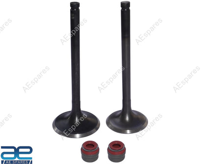 Engine Valve Kit for Royal Enfield Meteor Hunter Bullet Classic 350 (RLF00016, RLF00015, 1570177)