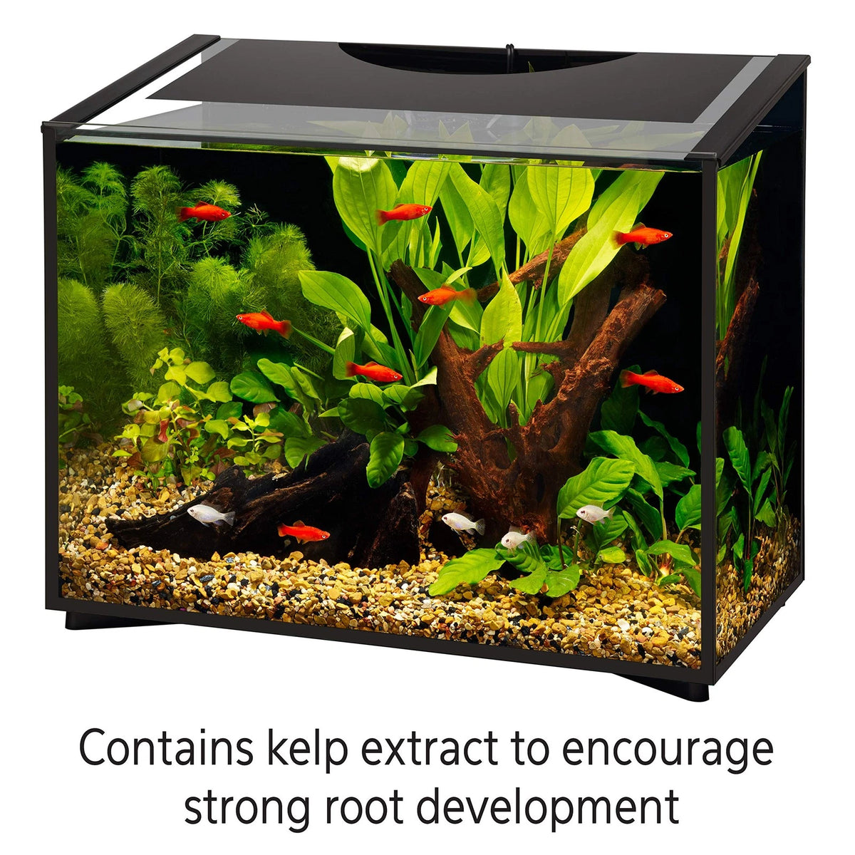 Aqueon Fish Tank Aquarium Plant Food 17.4 oz for Aquariums