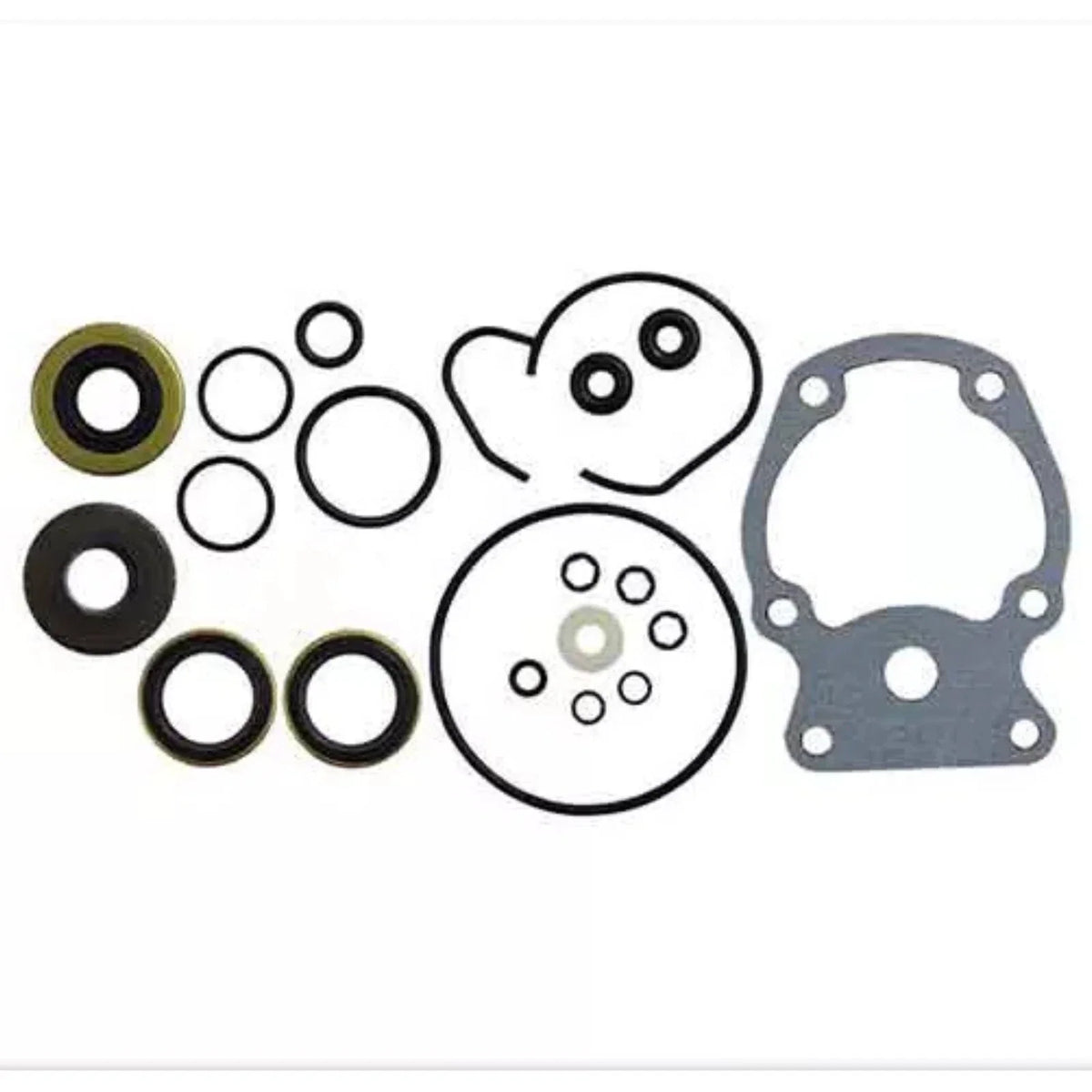 Lower Unit Seal Kit for Johnson Evinrude 15-30 Hp E-Tec (2009–2020) 5007987 18-8387