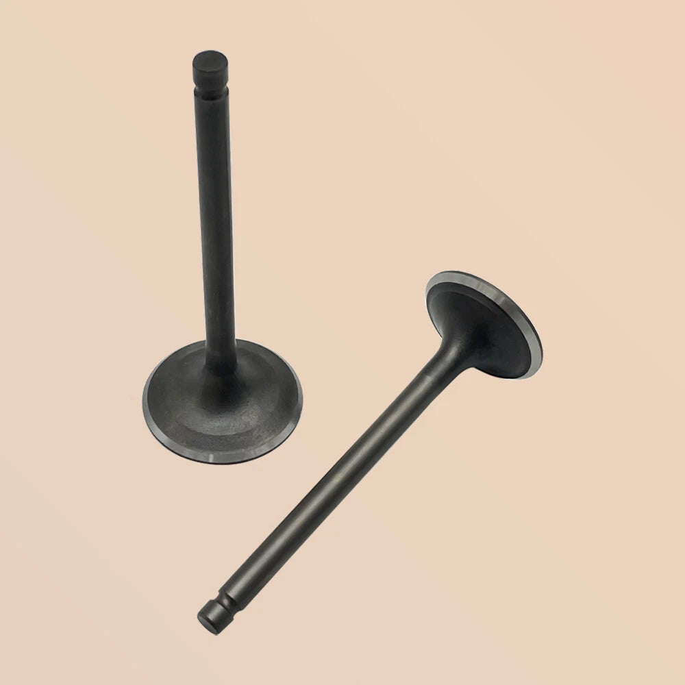 Intake & Exhaust Valve for Yamaha Bruin 350 Raptor 350 (2004–2013) 1UY-12111-01-00, 1UY-12121-01-00