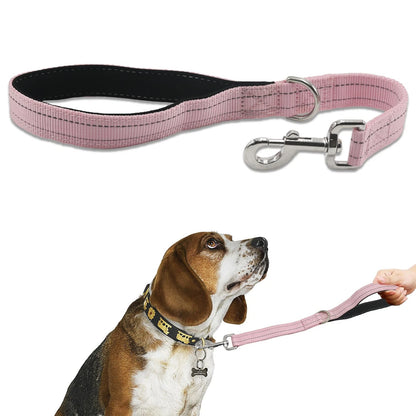 Thick Dual Padded Handle Traffic Dog Leash for Training (18 Inches)