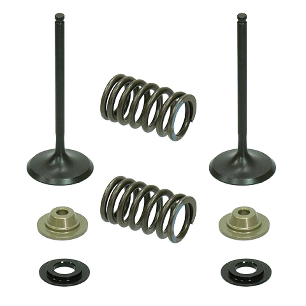 Psychic Intake Valve Kit for Kawasaki KX250F (2009–2010) XU-09515IK