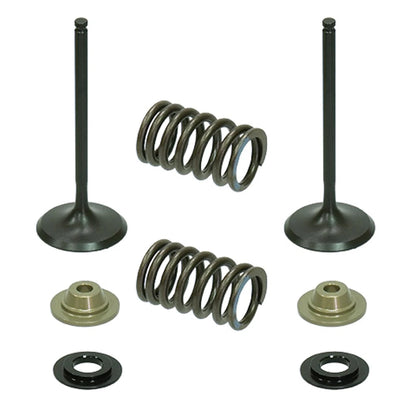 Psychic Intake Valve Kit for Kawasaki KX250F (2009–2010) XU-09515IK