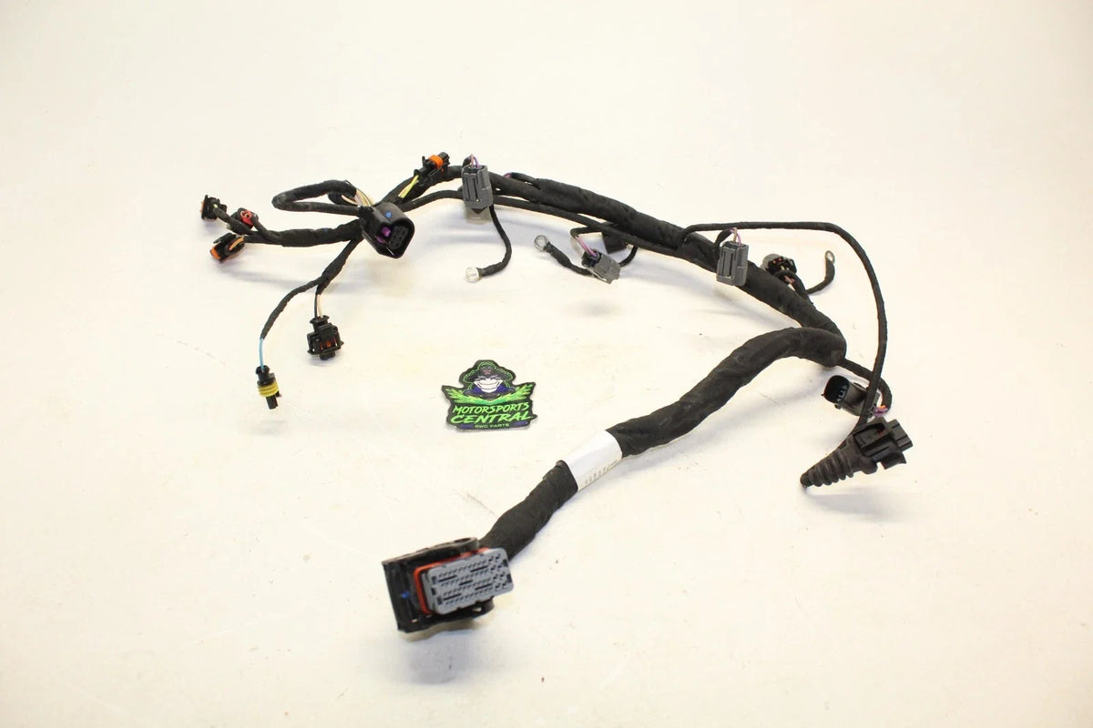 Engine Wire Harness for Sea-Doo GTX GTI GTR RXP RXT 130 155 170 230 300 (1603)