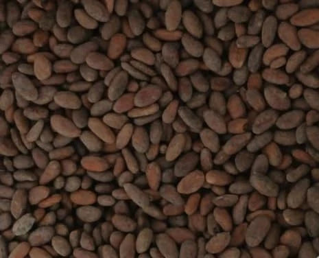 Raw Cacao Beans for Unroasted Chocolate Making (100% Pure Colombian)
