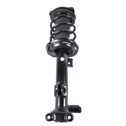 Front Left Shock Absorber Strut for Mercedes C250 C350 E350 (2012–2015) 2073231100