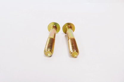 Set of 2 Screws for Arctic Cat Snowmobile (8020-230)