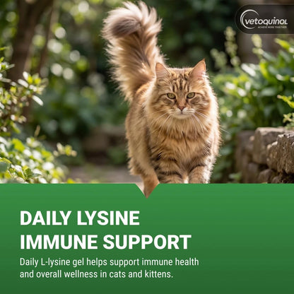 Lysine Supplement for Cats & Kittens (5 oz)