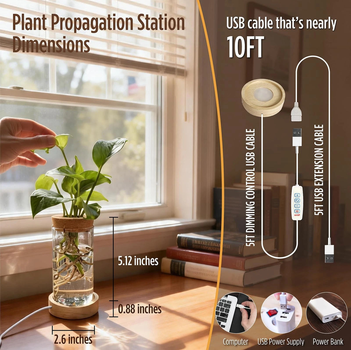 Plant Propagation Station with Light, Glass Cylindrical, 3000K/4000K/6500K