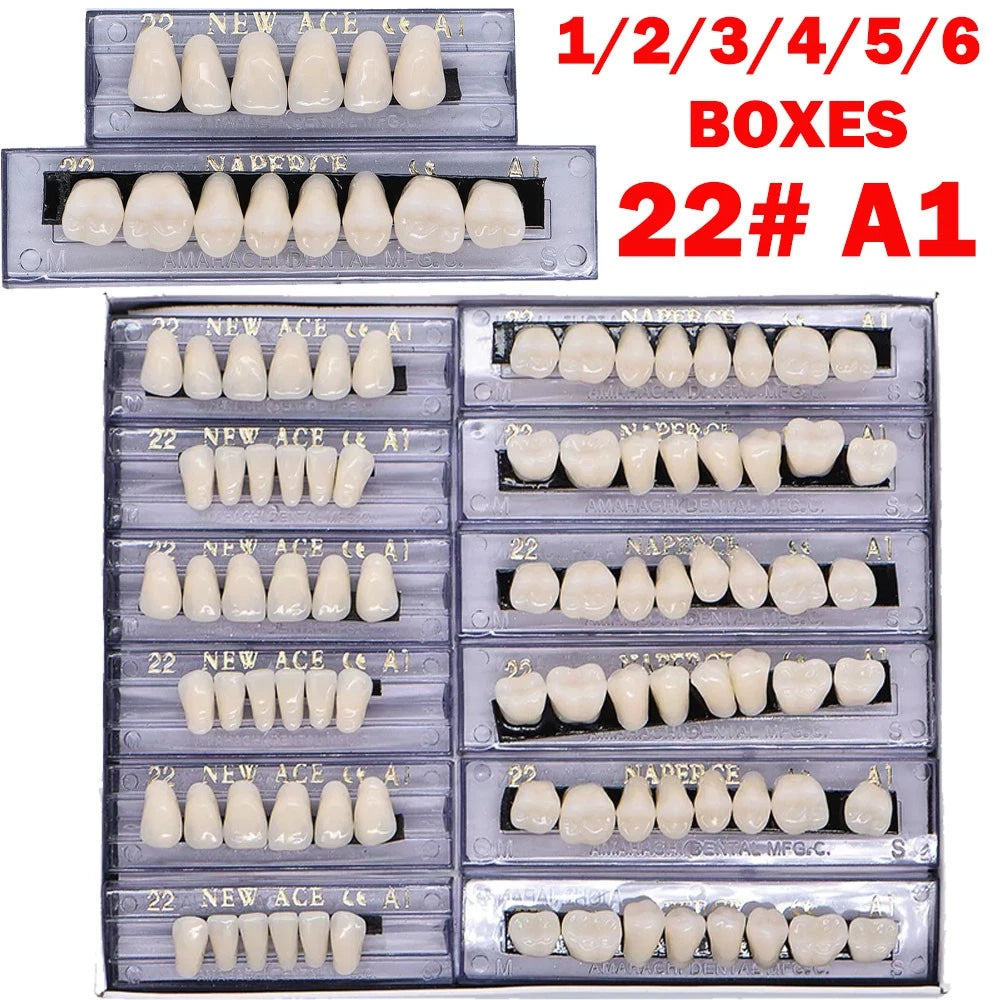 168PCS Acrylic Resin Denture Teeth Set Upper Lower Shade A1