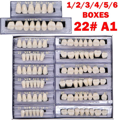 168PCS Acrylic Resin Denture Teeth Set Upper Lower Shade A1