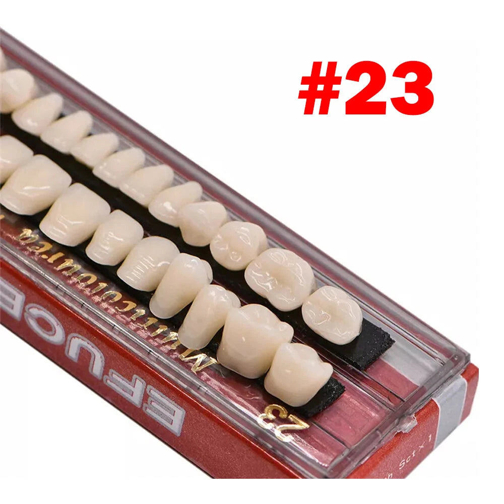 Full Set of Dental Acrylic Resin Dentures Shade A2A3 Upper Lower