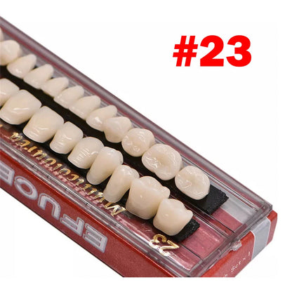 Full Set of Dental Acrylic Resin Dentures Shade A2A3 Upper Lower