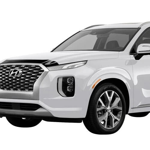 AeroSkin Flat Hood Protector for Hyundai Palisade (200-2025) 2842159