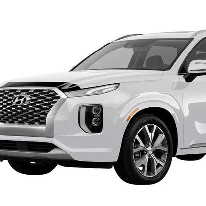 AeroSkin Flat Hood Protector for Hyundai Palisade (200-2025) 2842159