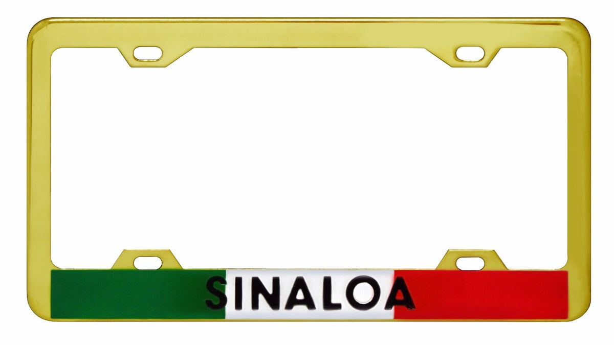 Metal License Plate Frame for Car Truck SUV (WL340G)