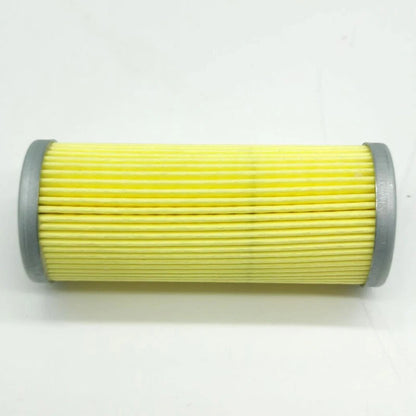 Fuel Filter for John Deere XUV850D XUV855D XUV855E XUV855M XUV865E XUV865M (124550-55700)