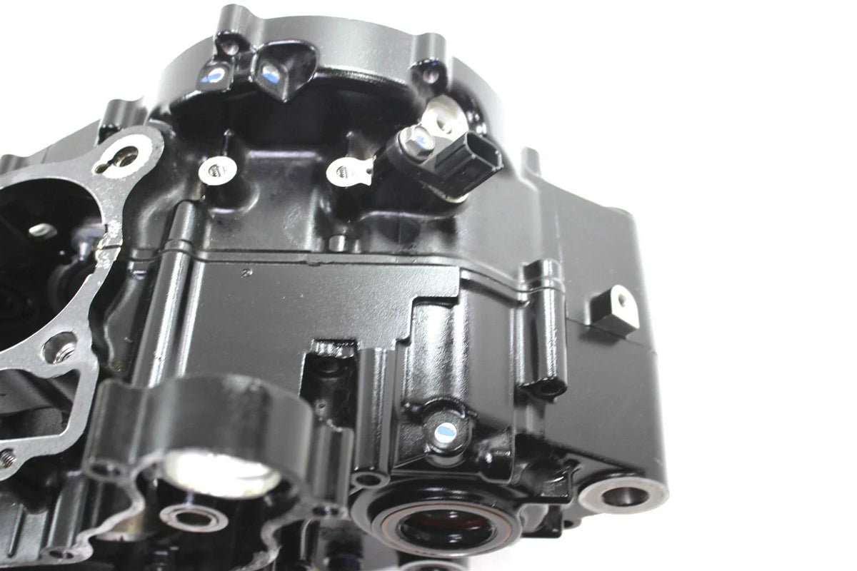 OEM Motor Engine Crank Cases for Kawasaki KLX230 SM (2023) 14101-0004