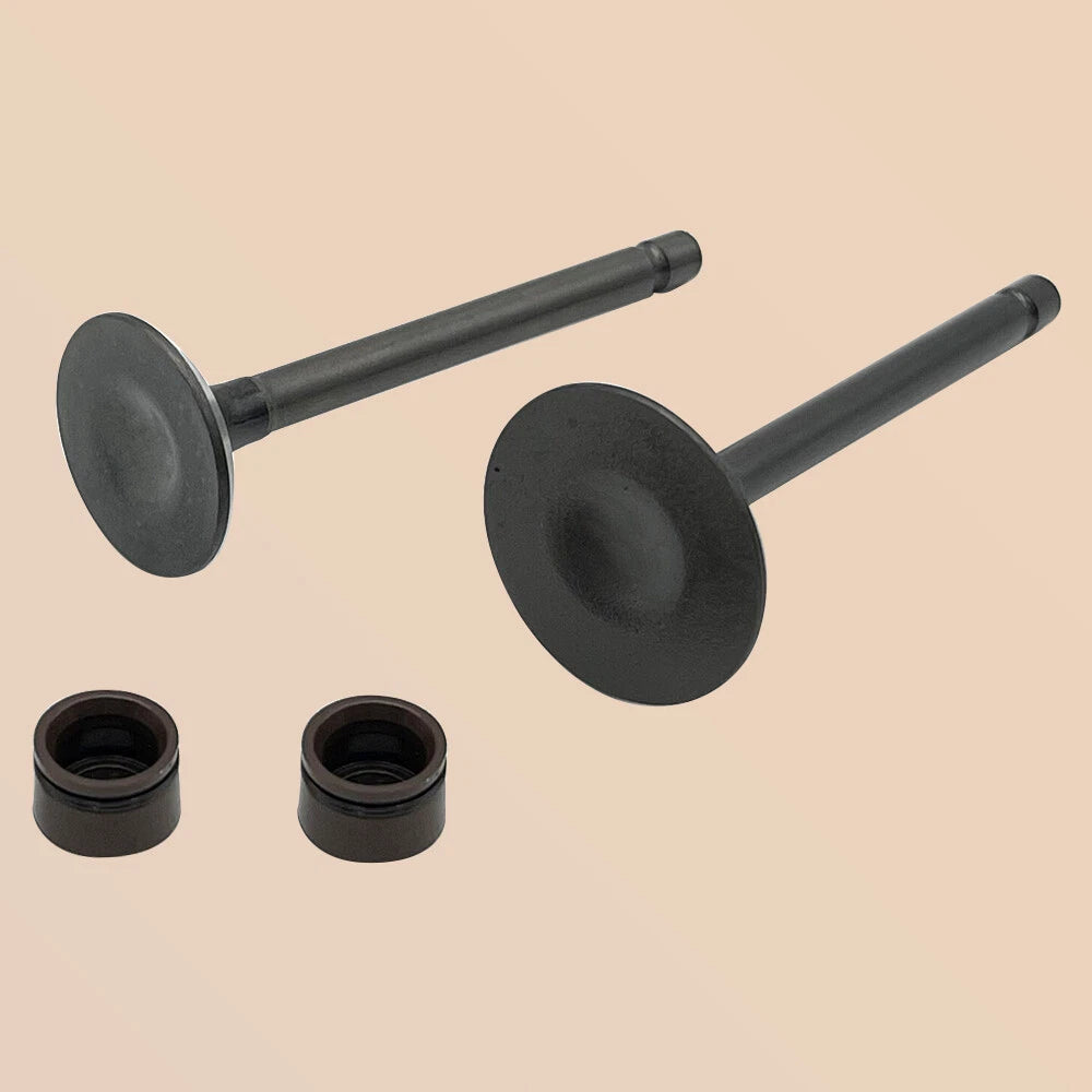 Engine Intake & Exhaust Valves Kit for Yamaha TTR125LE (2003–2018) 5VL-E2111-00-00, 5HH-E2121-00-00
