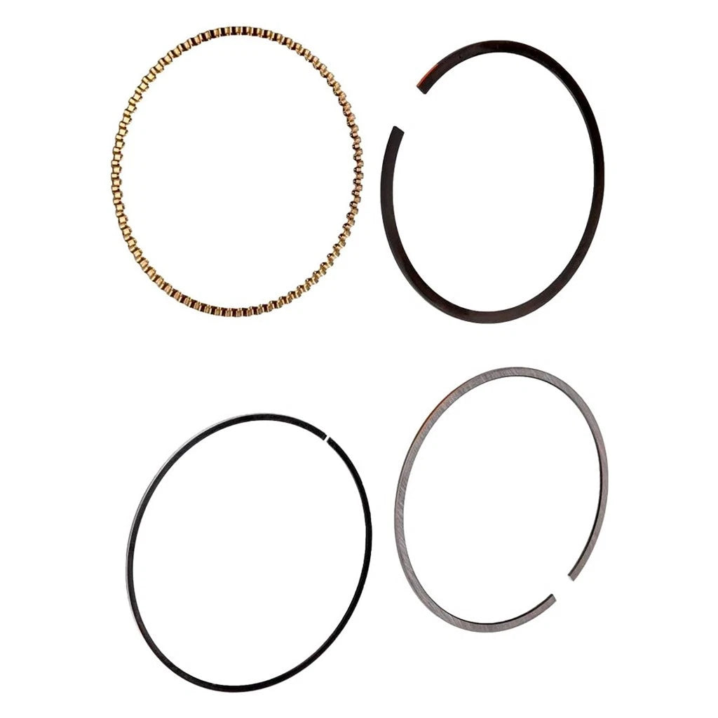 Piston Ring for Oldsmobile Bravada (1994) - 12522848, OLX-ACD12522848-CL360A63
