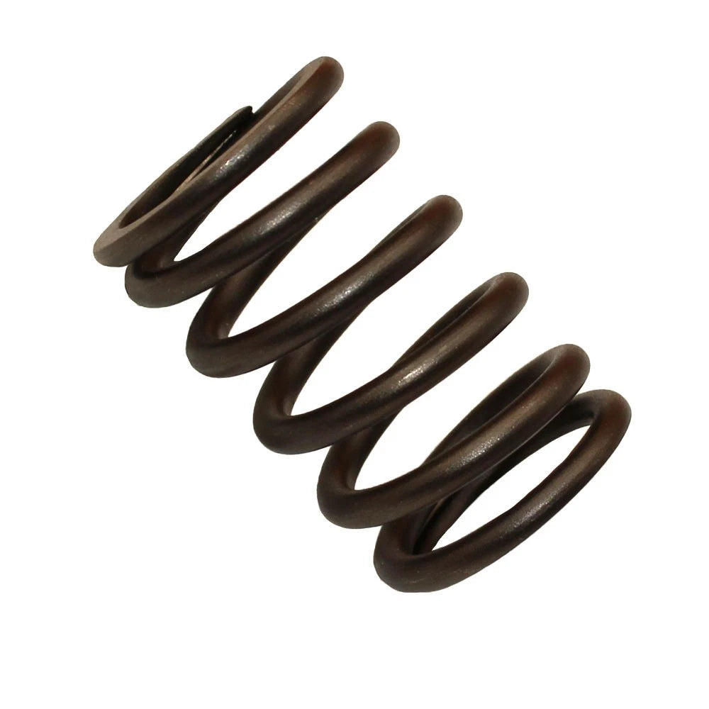 Valve Spring for Ford 2000 2600 3000 3600 4000 4600 5000 5110 5600 5610 5700