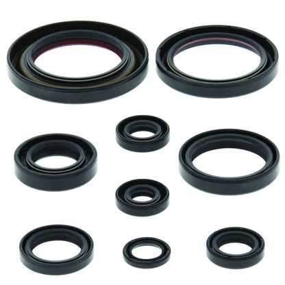 Oil Seal Set for Honda TRX450ER (2006–2014)