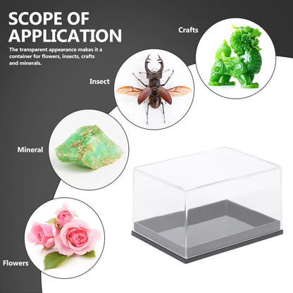 6X Transparent Plastic Display Boxes for Mineral Specimens