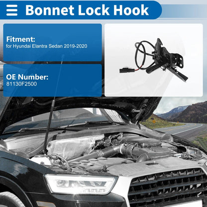 Hood Latch Assembly for Hyundai Elantra Sedan (2019–2020) No. 81130F2500