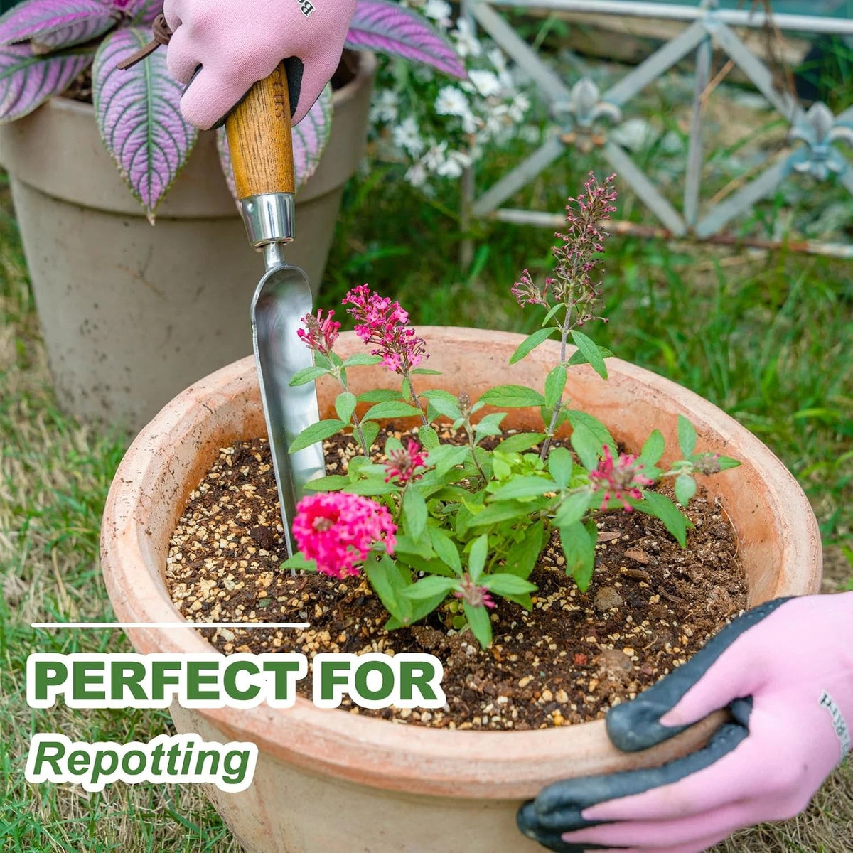 Seeding Widger for Garden Planting (No Known Part Numbers)