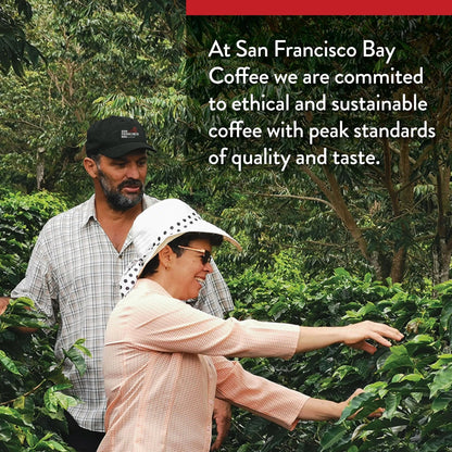 80 ct Dark Roast Single Serve Coffee for San Francisco Bay