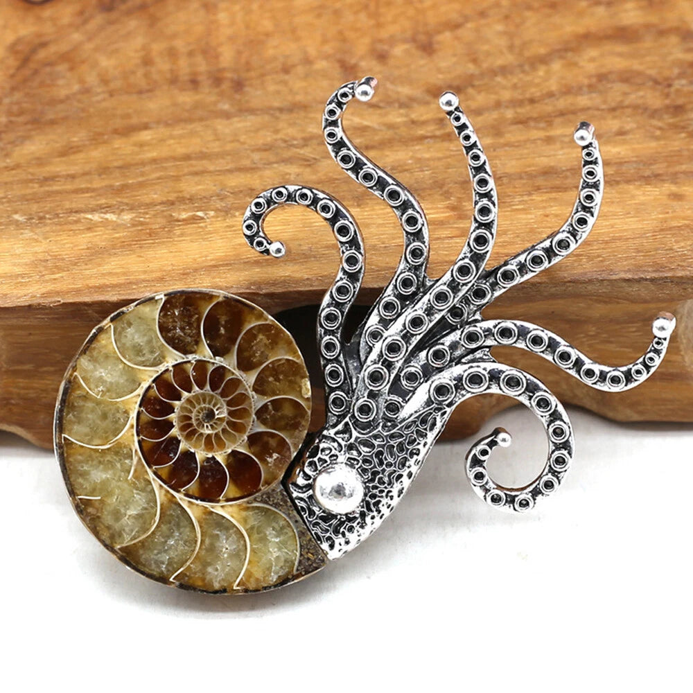 2X Natural Ammonite Fossil Conch Specimen Healing Brooch