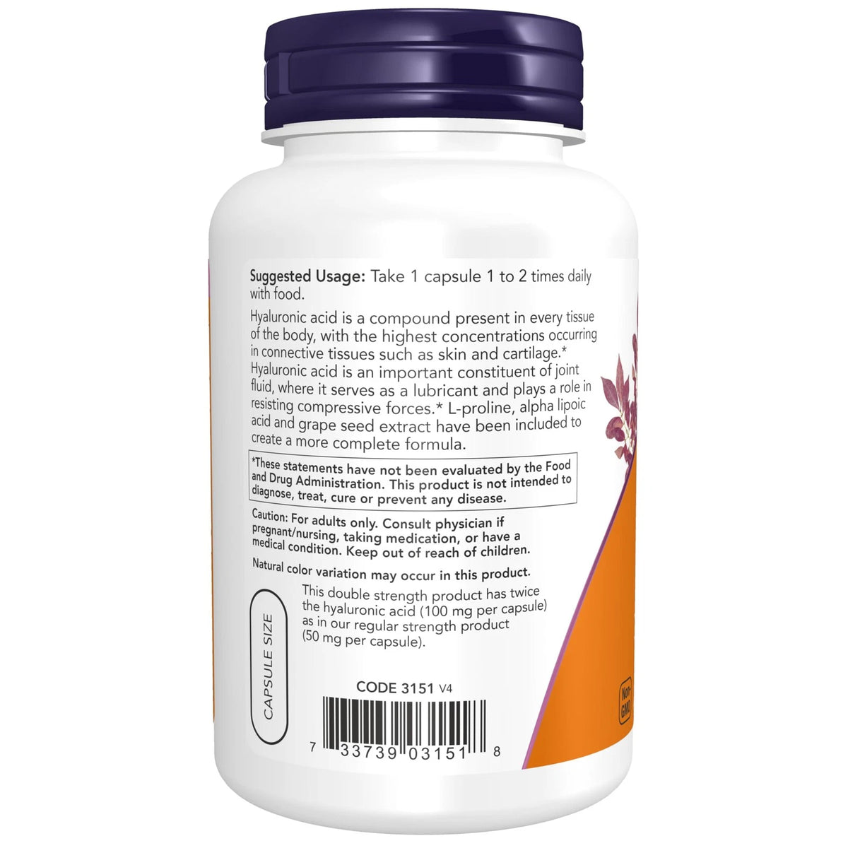 120 Count Supplements for NOW Foods (Pack of 1)