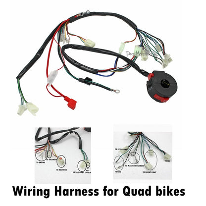 Wiring Harness Loom for 50/70/90/110/125cc Quad Bike Buggy GoKart (N/A)
