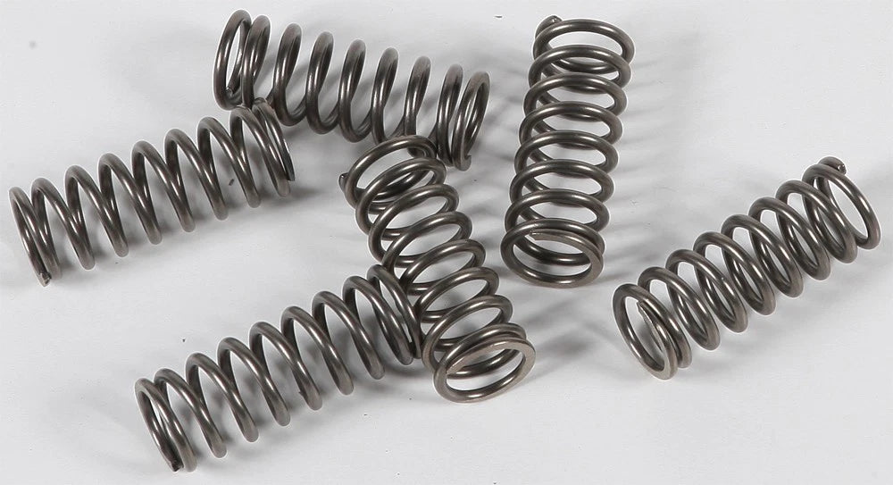 Clutch Spring Set for EBC CSK122