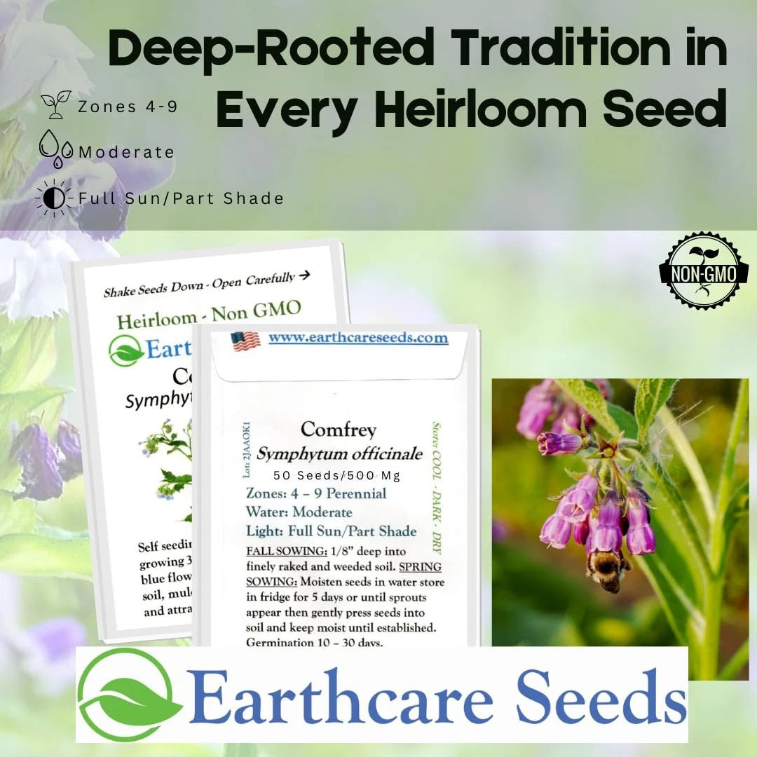 True Comfrey Seeds for Earthcare (50) Non GMO, Purple