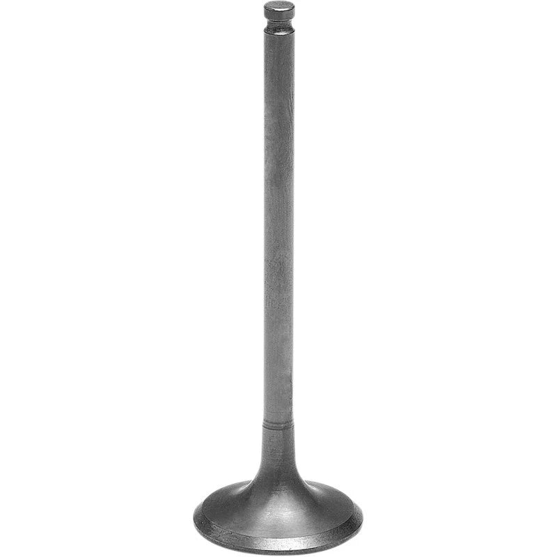 Tensilite Titanium Engine Valve for OEM Replacement (9696166T)