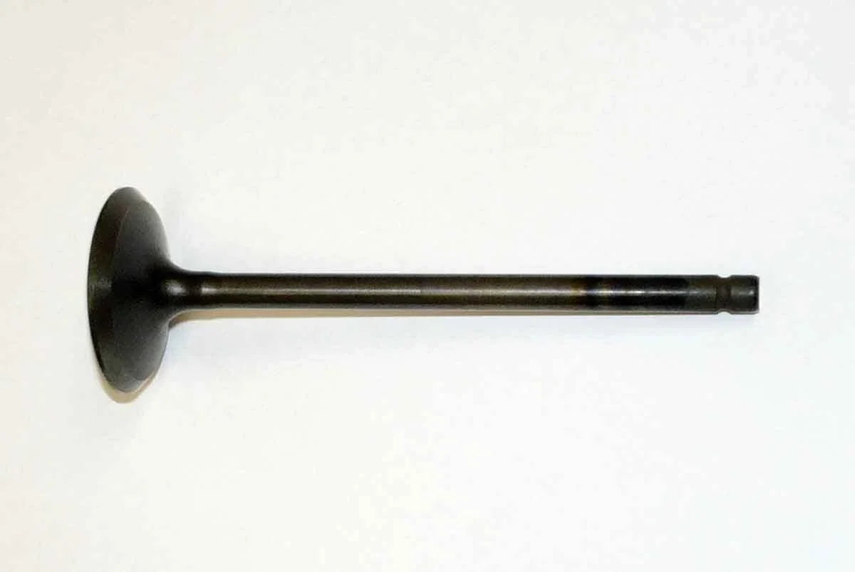 Exhaust Valve for WSM
