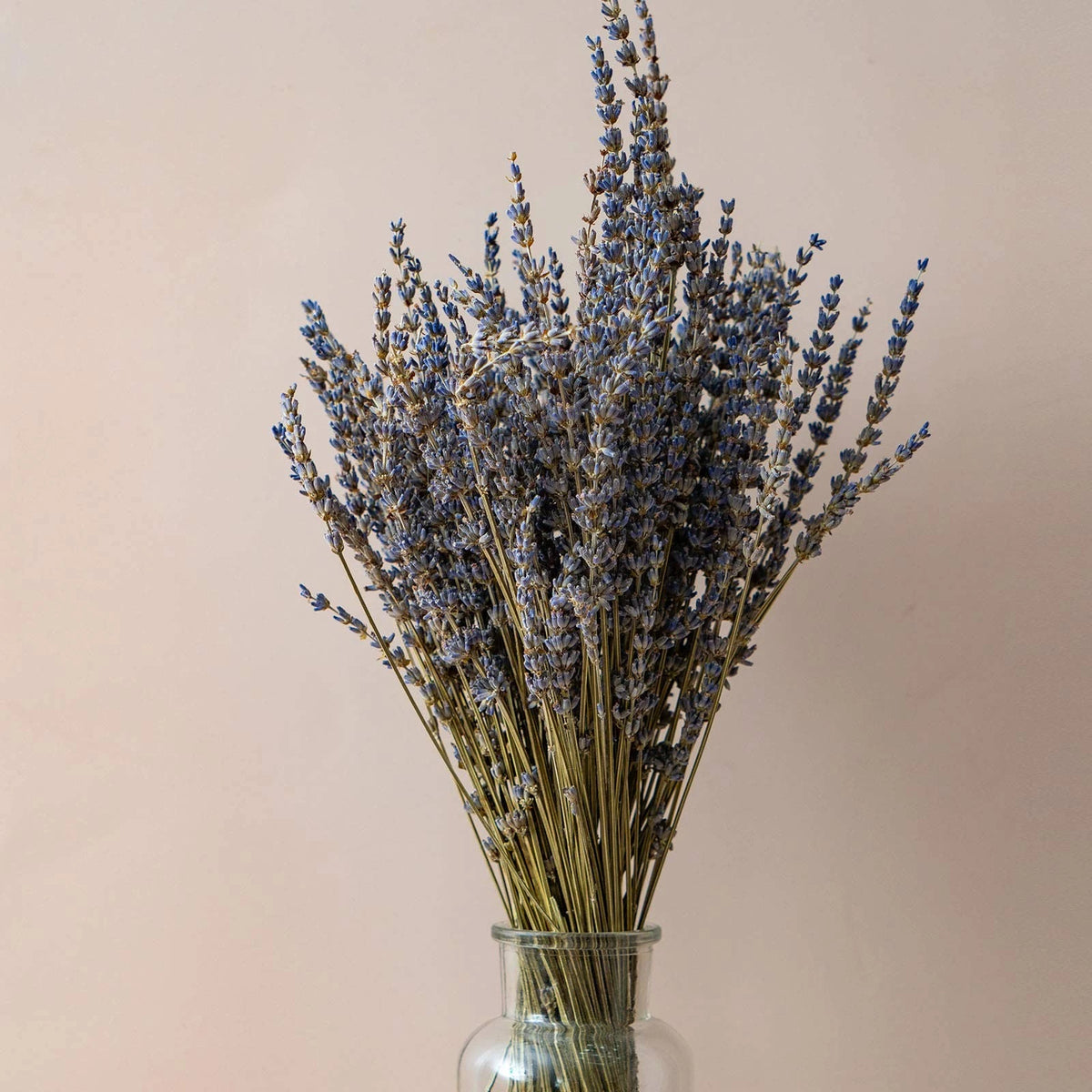 200 Stems Dried Lavender Flowers Bundles for Floral Arrangements