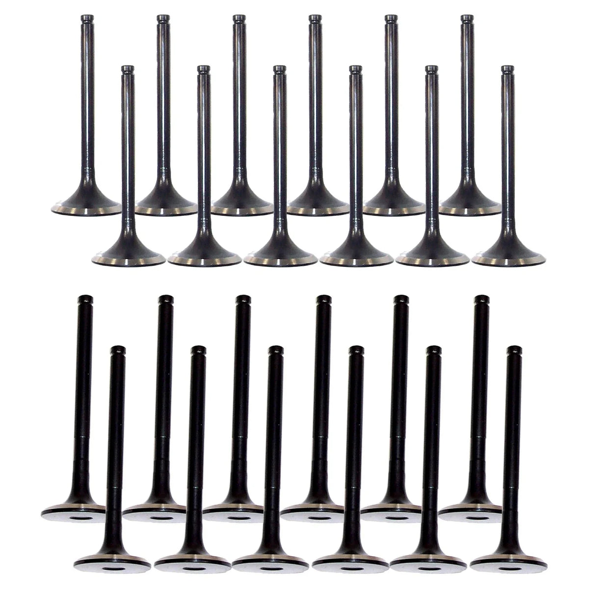 Set of 24 Intake & Exhaust Valves Kit for Land Cruiser LX450 (1996–1997)