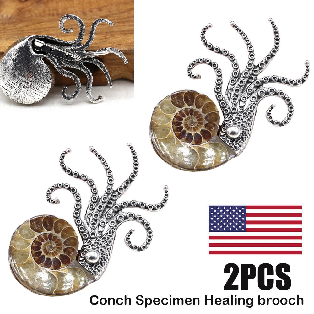 2X Natural Ammonite Fossil Conch Specimen Healing Brooch