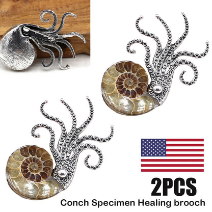 2X Natural Ammonite Fossil Conch Specimen Healing Brooch