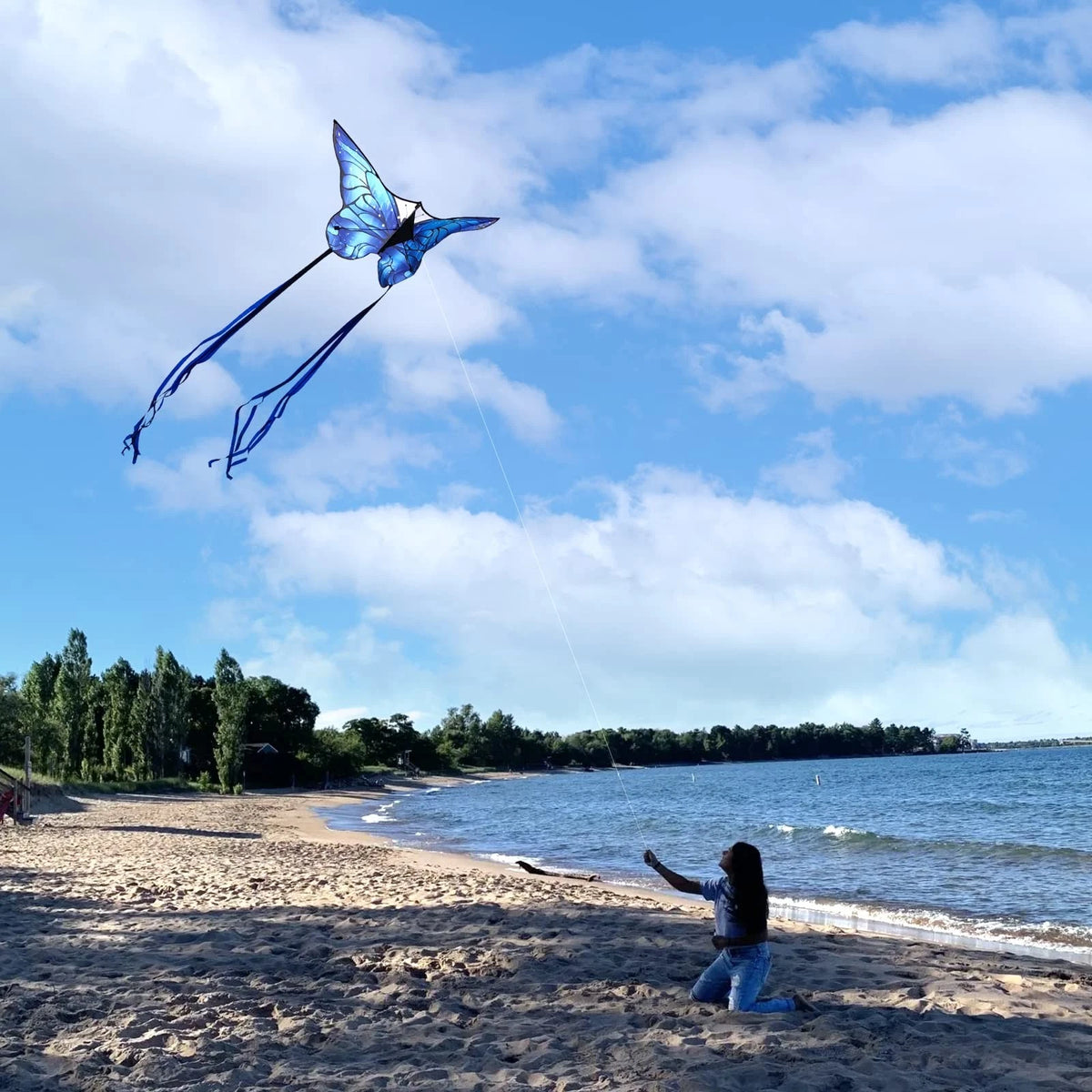 X-Large Butterfly Kite for Kids & Adults - Blue/Dark Blue